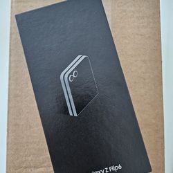 Z flip6 silver