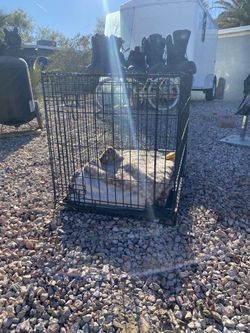 Large Dog Kennel And accessories