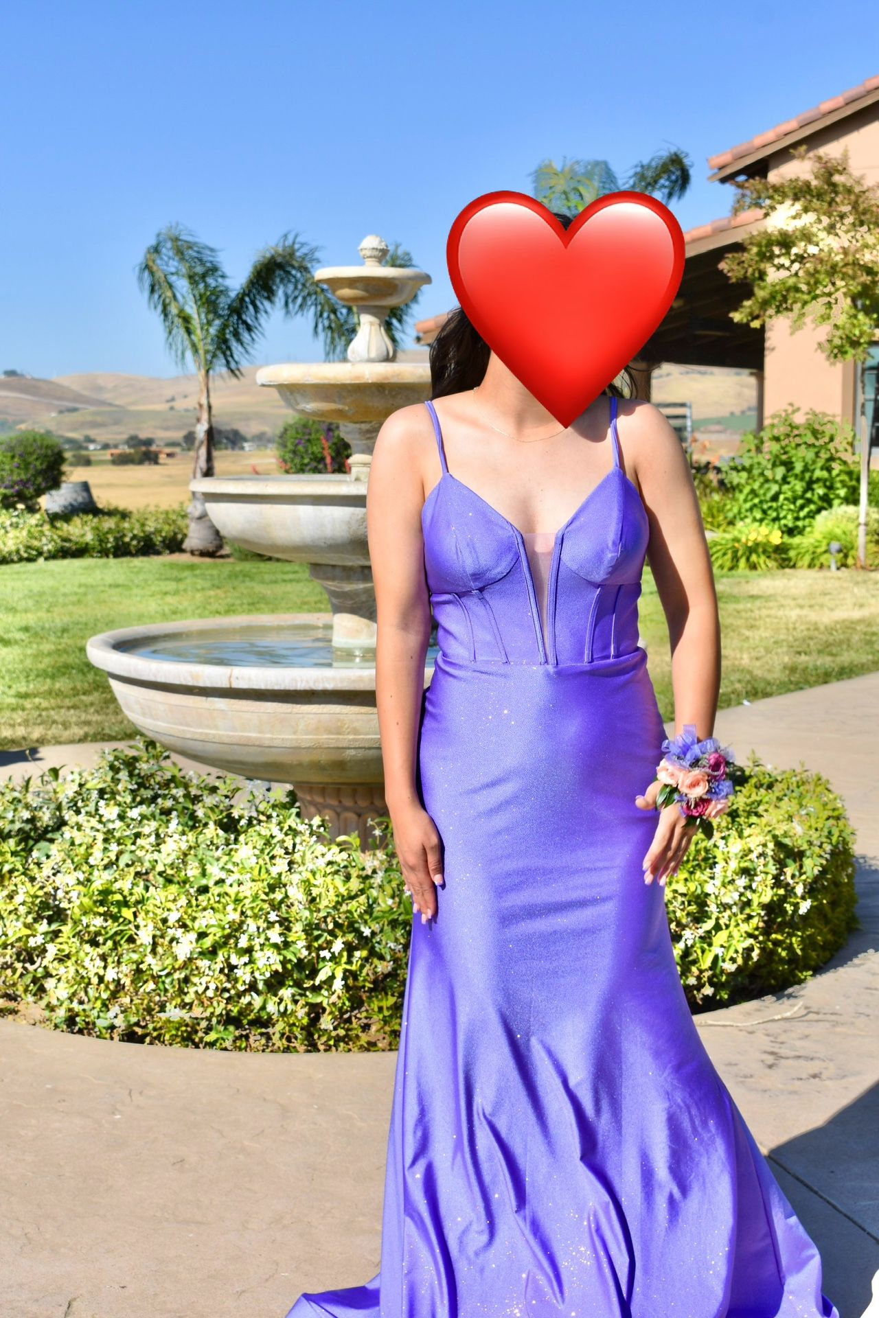 Like New Prom/Formal Dress Worn 1x