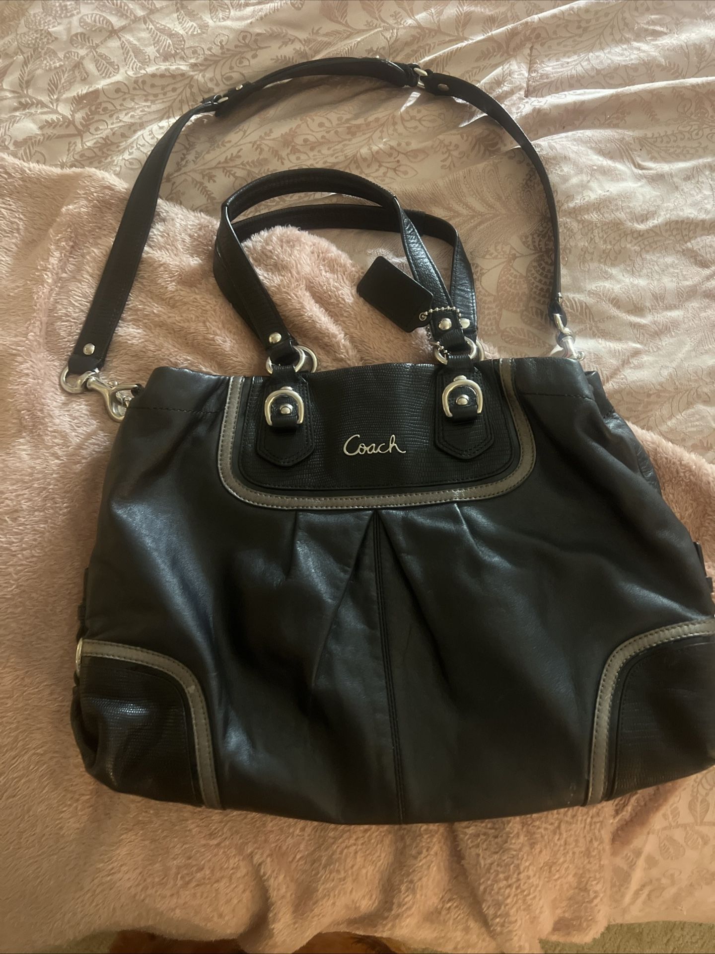 Ashley Exotic leather Coach Purse