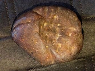 chondrite meteorite with a rare type of trace fossil