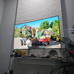Samsung 65 Inch