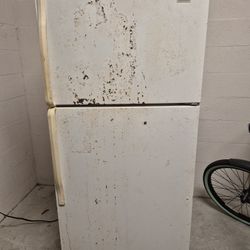 Working Refrigerator