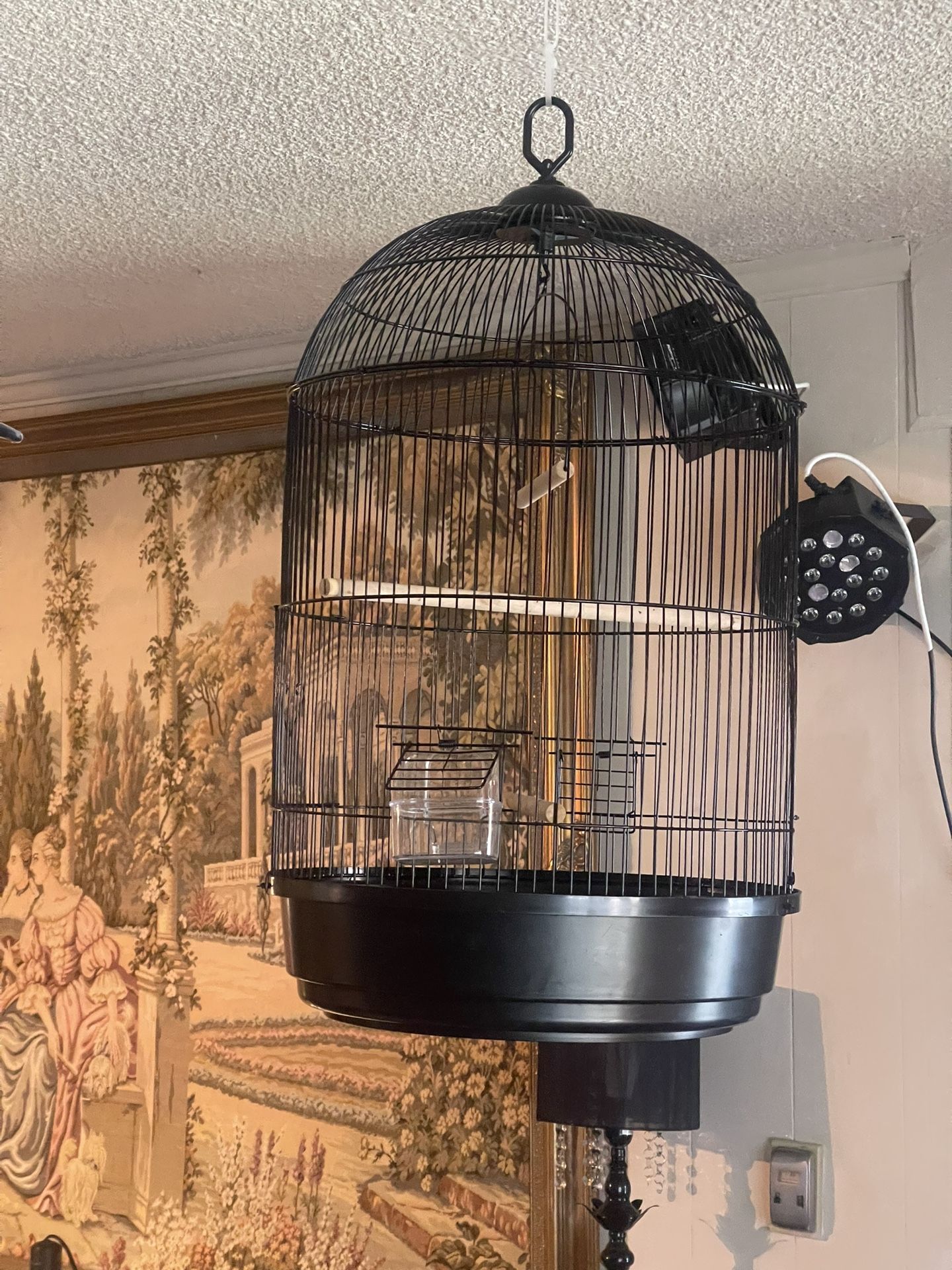 Bird Cage , Hanging