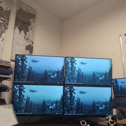 Two Monitors (27") And Dual Mount 