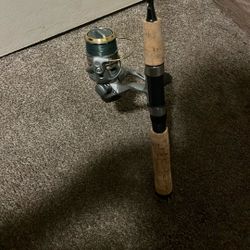 Light Fishing Rod And Reel Setup 