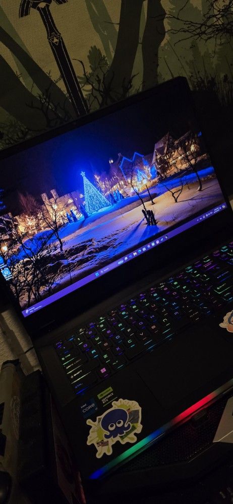 MSI GE76 Raider Gaming Laptop