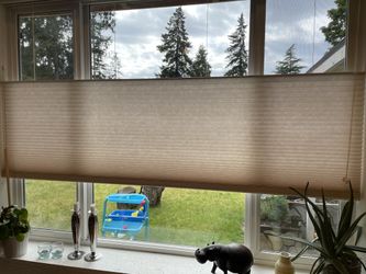 Deluxe Light Filtering Cellular Shades