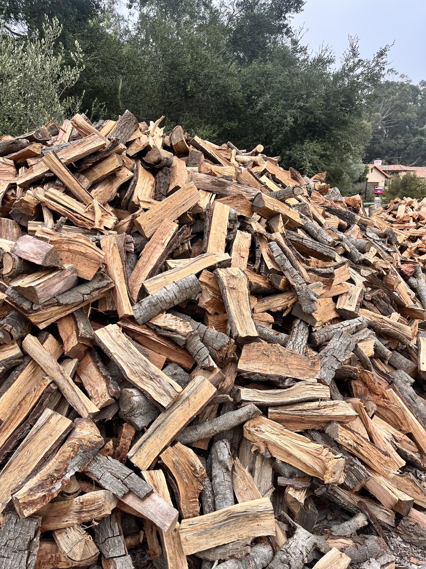 Firewood 