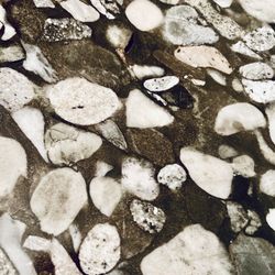 Gorgeous Black and Gray Marble Slab For Table, countertop Or Desk