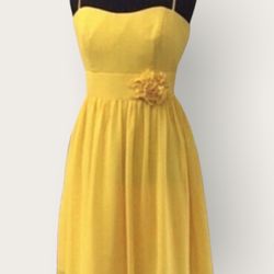 New With Tags Size 12 Homecoming Dress & Short SemiFormal Dress $30
