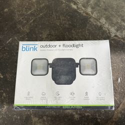 Blink Outdoor +Floodlight