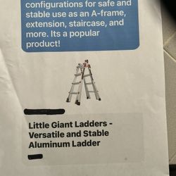 Little Giant Ladder