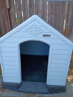 Dog House