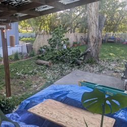 Free Firewood