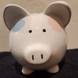 Ceramic Piggy Bank
