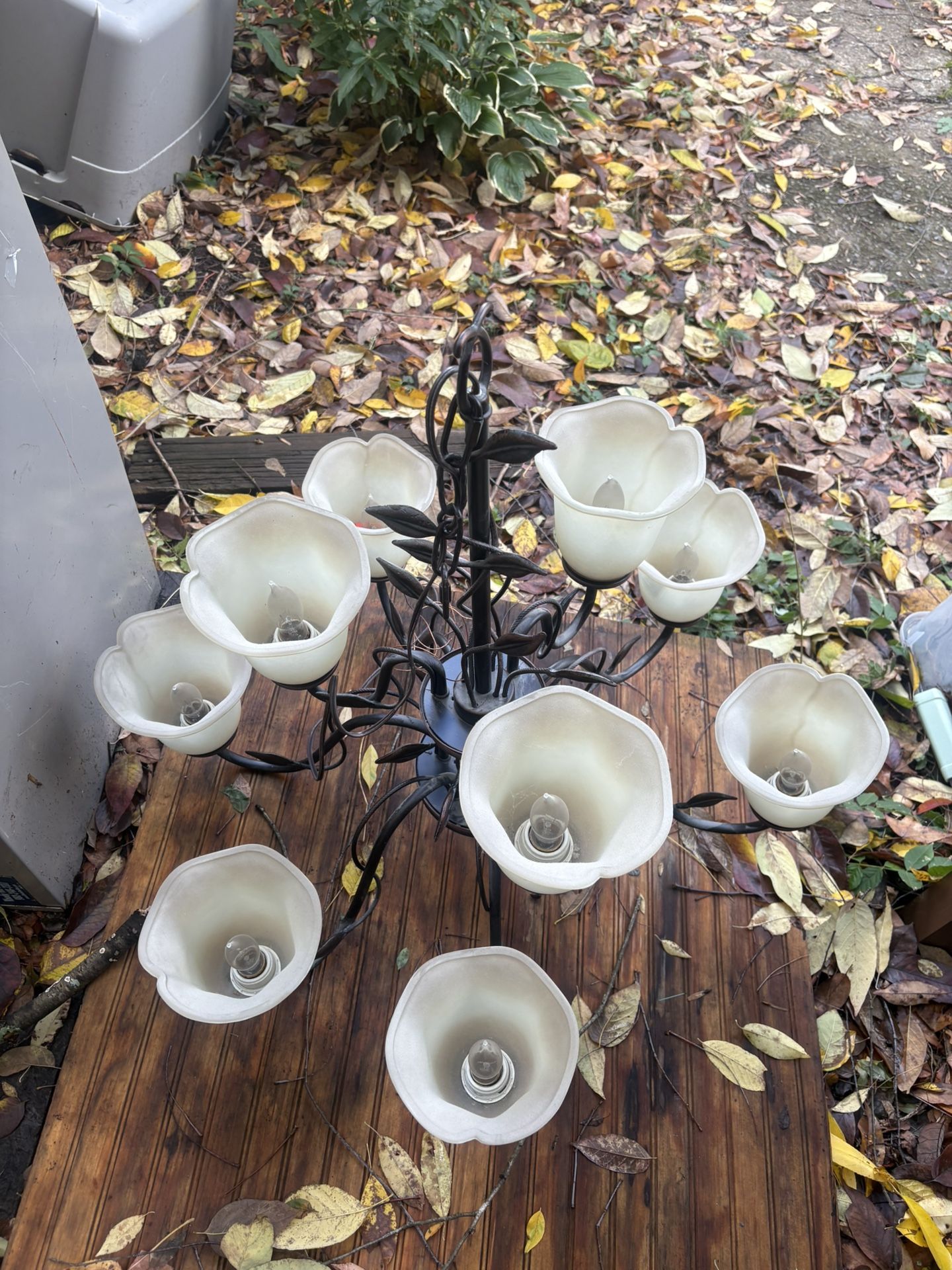 π Home Upgrade Sale β Multiple Light Fixtures + Ceiling Fan!