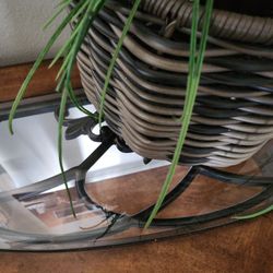 Plant