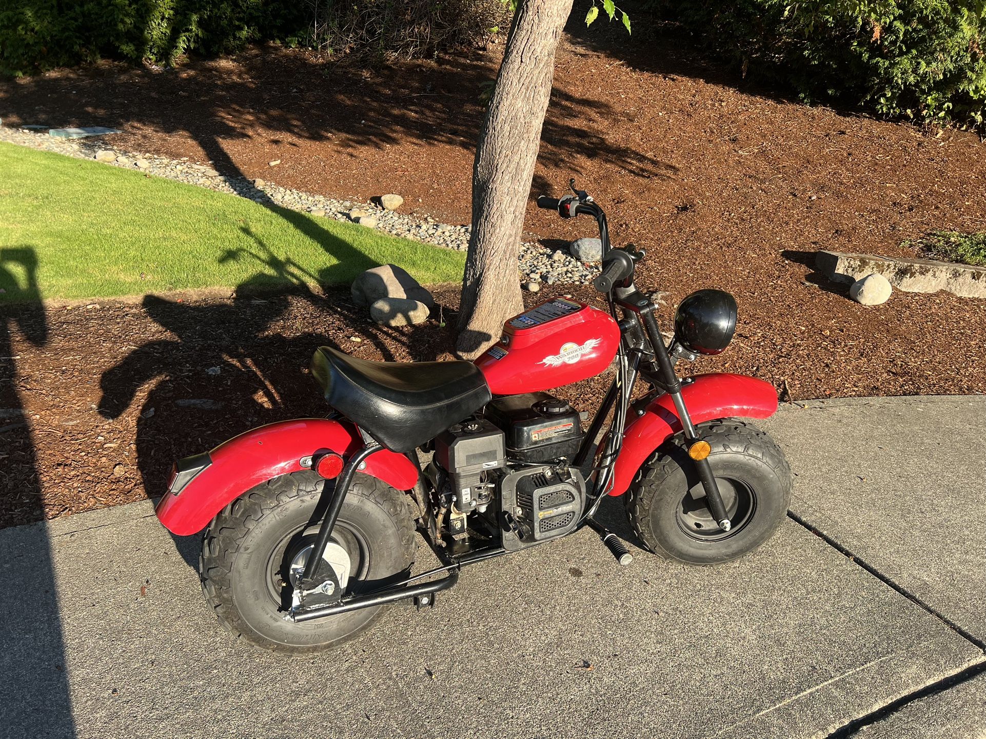 MASSIMO Mini bike 200