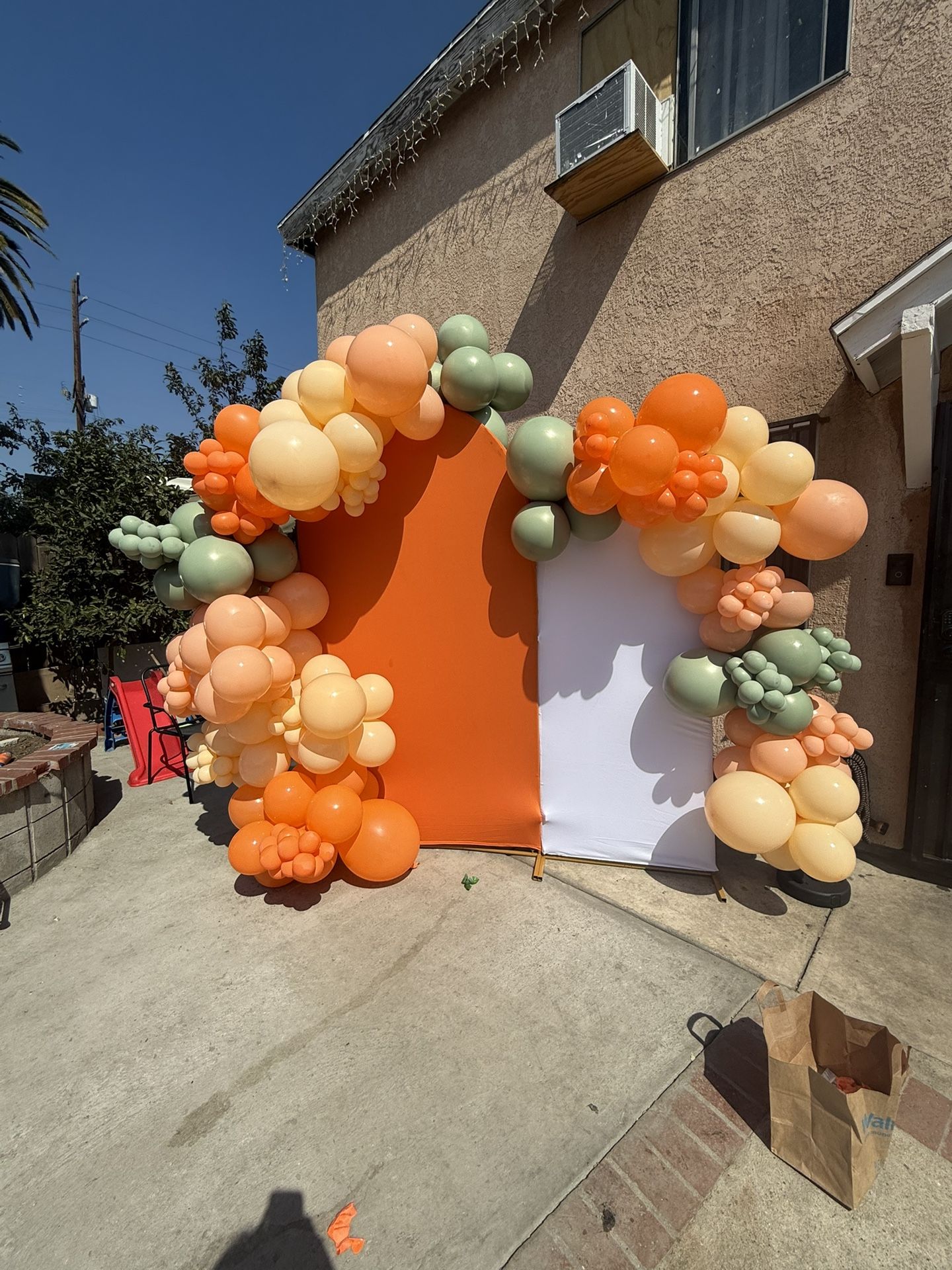 Balloon Arch