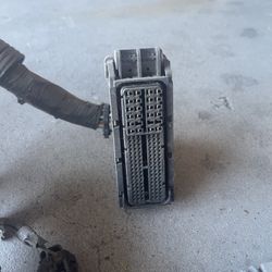 Lexus Engine Harness 