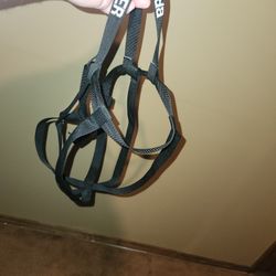 Carboy Carrier