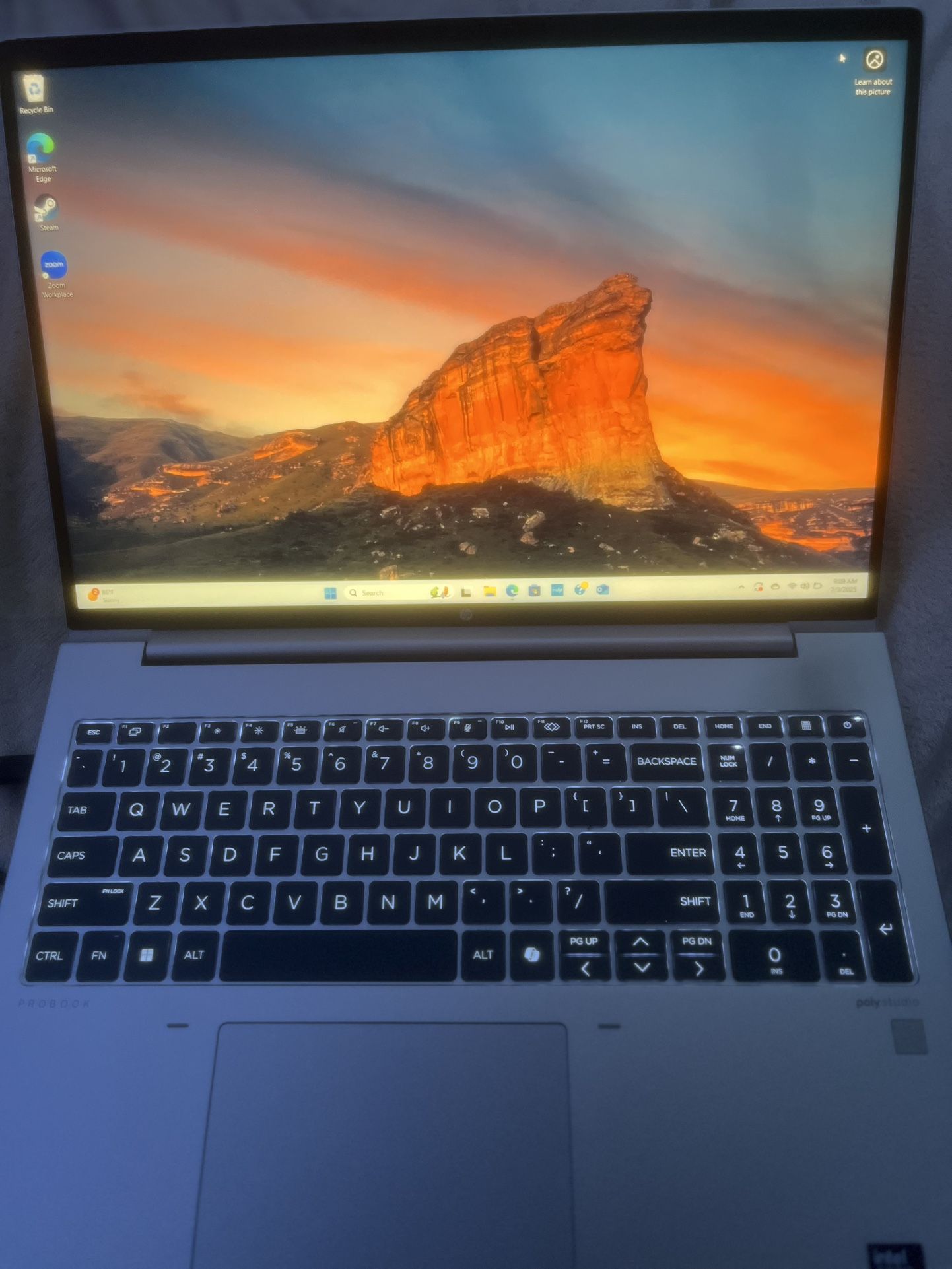 Hp Probook HoteBook Pc 460 G11