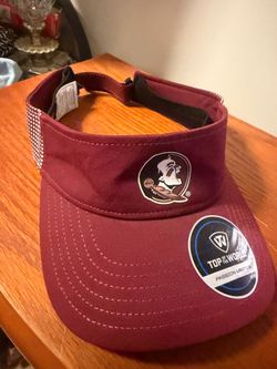 Visor