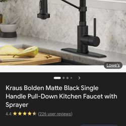 Kitchen Faucet
