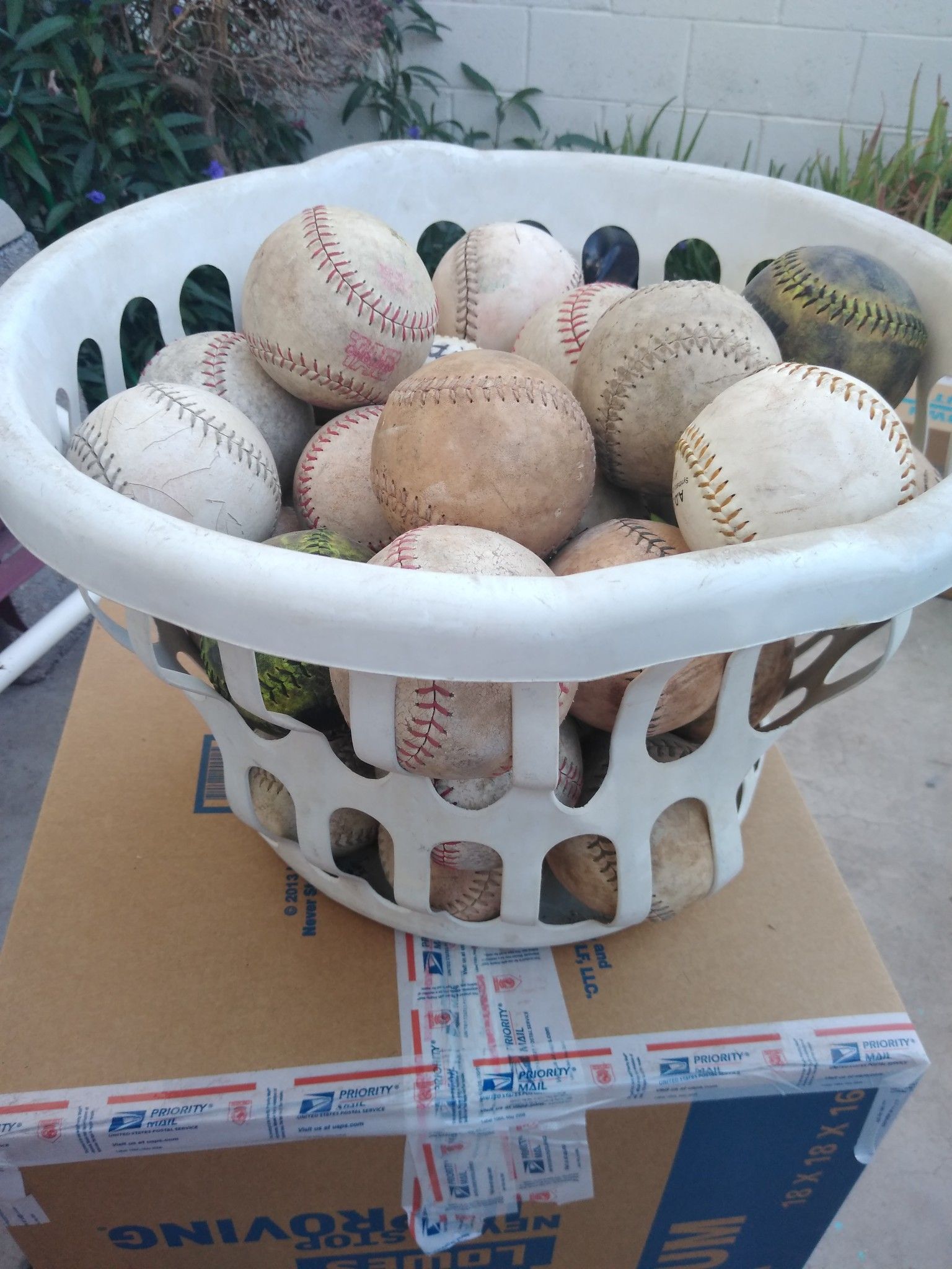 Softball cleats, bats, gloves and balls