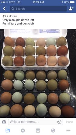 Fresh eggs huevos criollos