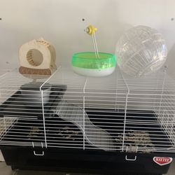 Hamster Started Kit 