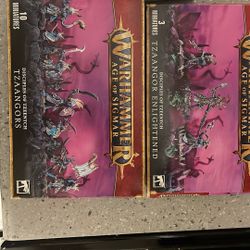 Age Of Sigmar Beast Of Chaos