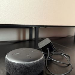 Echo Dot