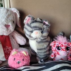 all these stuffed animals