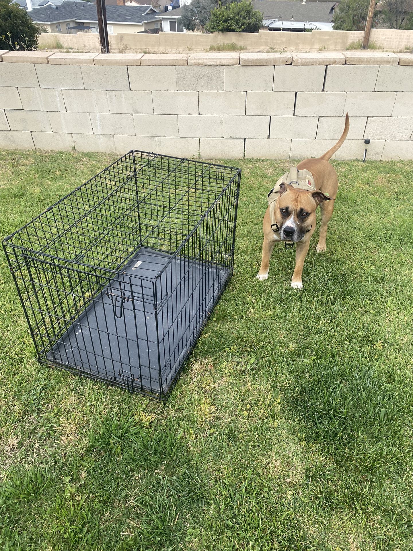 Medium Size Dog Kennel