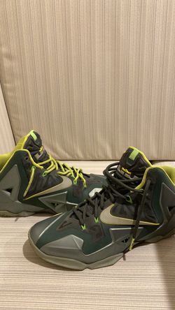 LeBron Dunk Man 11 Size 8.5