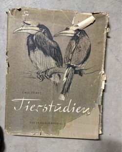 TierstudienAuthor/Artist: Emil