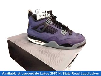 Jordan Fv5029-500 Purple