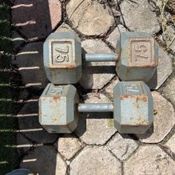 75 Ib Dumbells 