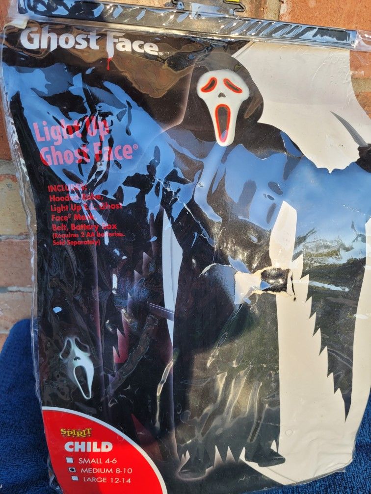 Halloween Costume 