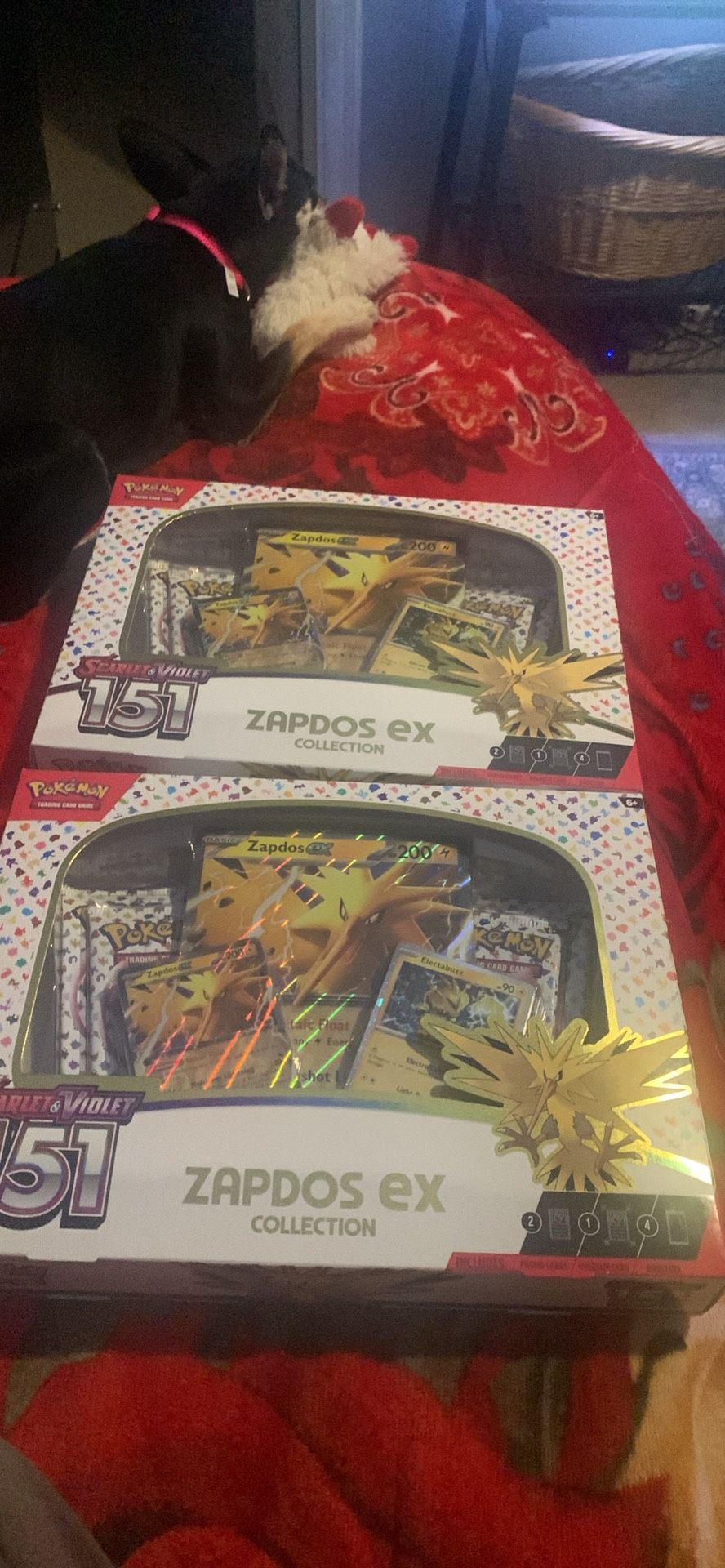 151 Zapdos Box