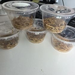 Mealworms 