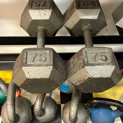 Dumbbells 