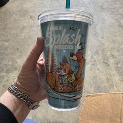 Disney Splash Mountain Tumbler New