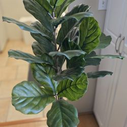 Fiddle-leaf artificial plant 50" tall