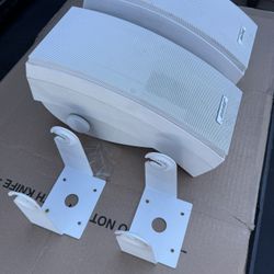 Bose 251 Environmental Outdoor Speakers