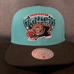 NBA Grizzlies Hat