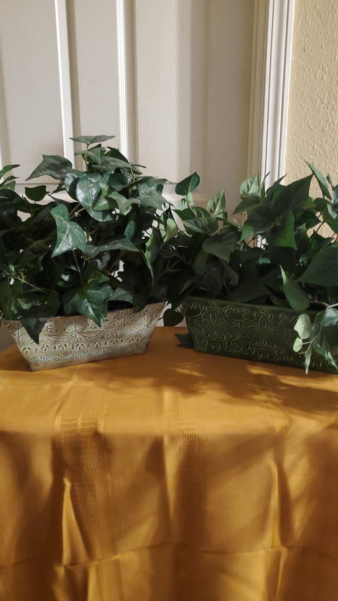 Two "Evergreen" Plants (Fake)