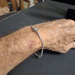 Stainless Steel European Snake Chain Charm Bracelet W/Snap Clasp 8" (2 In Stock) 6" (1 In Stock) Your Choice Each